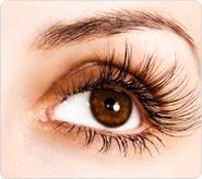 novalash eyelash extensions